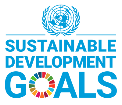 SDG Wheel