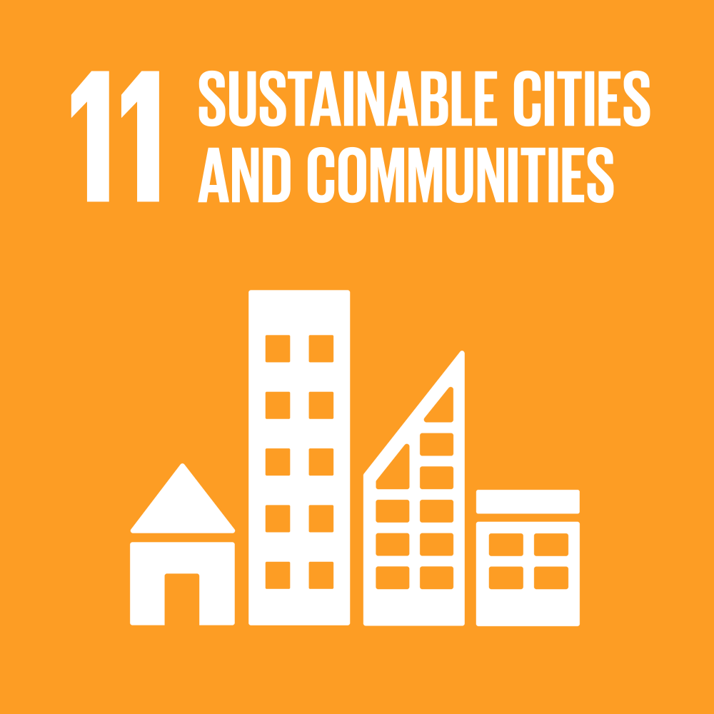 SDG 11 Animation