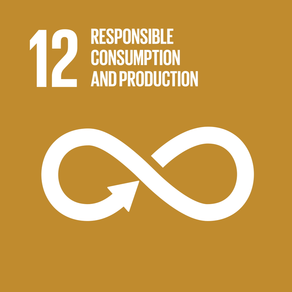 SDG 12 Animation