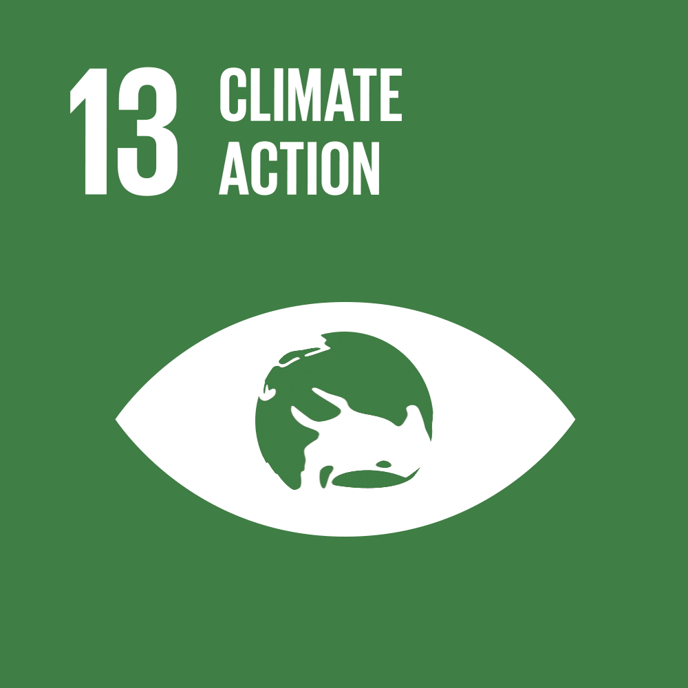 SDG 13 Animation