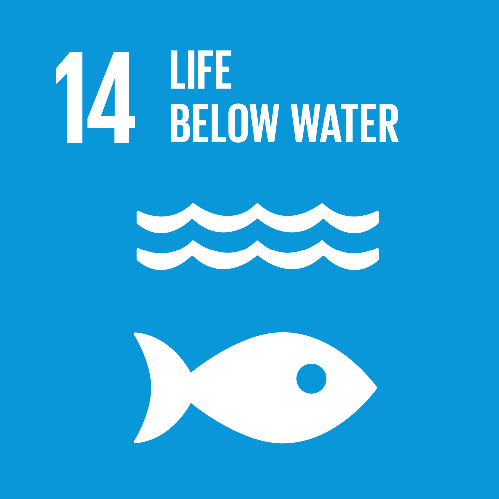 SDG 14 Animation