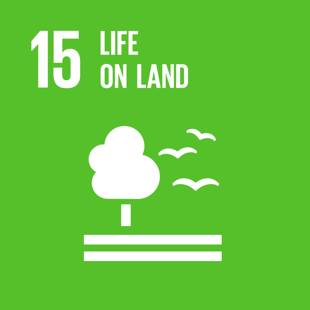 SDG 15 Animation
