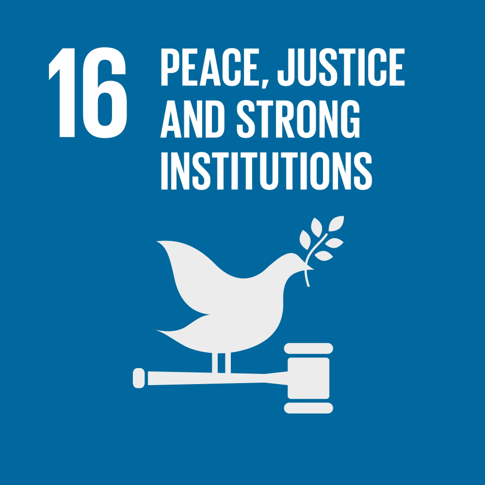 SDG 16 Animation