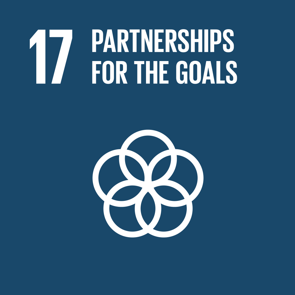SDG 17 Animation