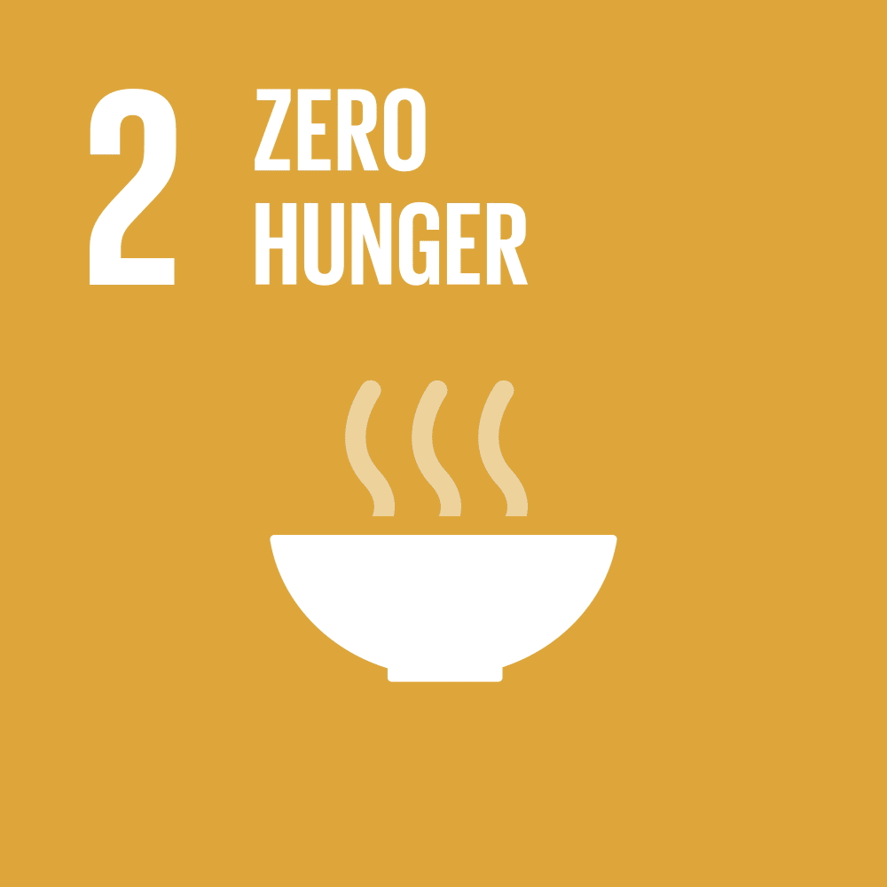 SDG 2 Animation