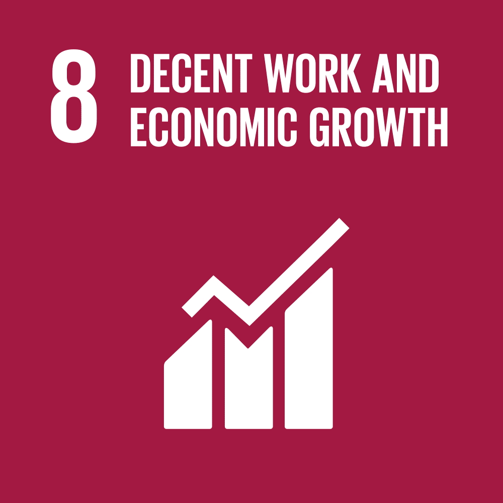 SDG 8 Animation
