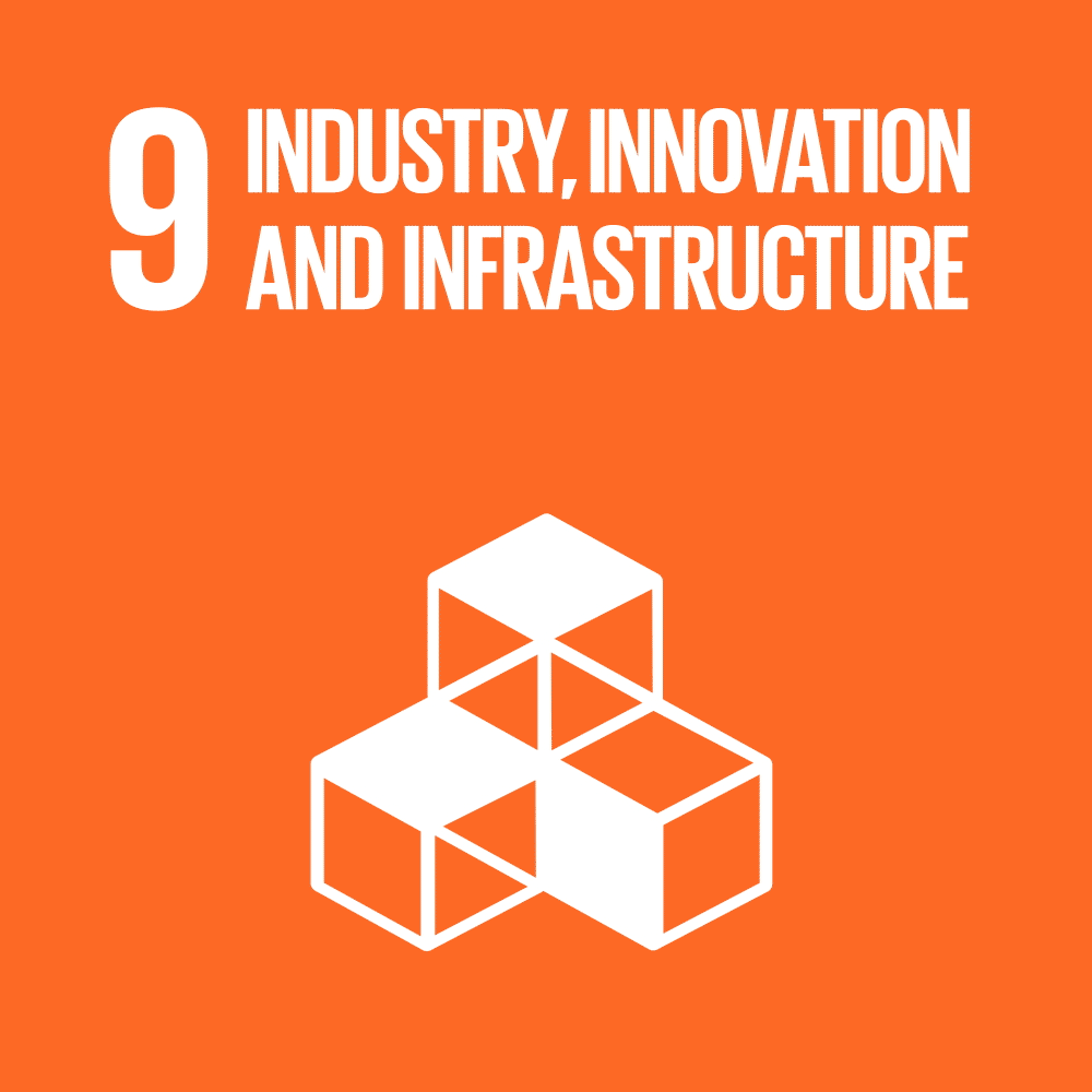 SDG 9 Animation